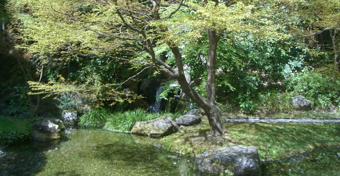 離宮の水イメージ