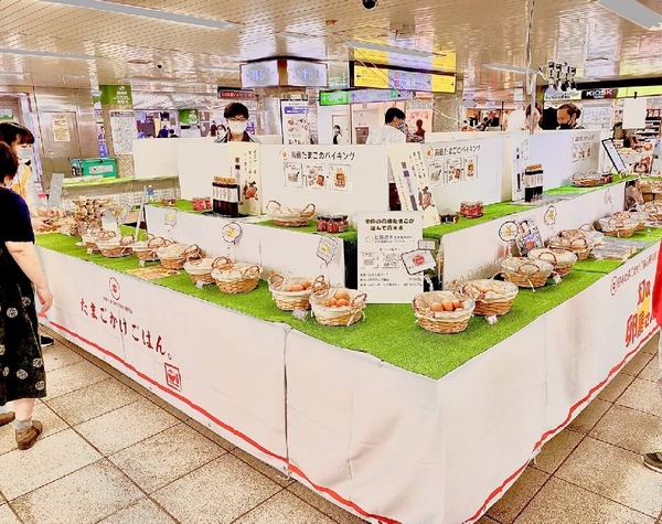 1個600円の烏骨鶏たまごが入荷することも❗️