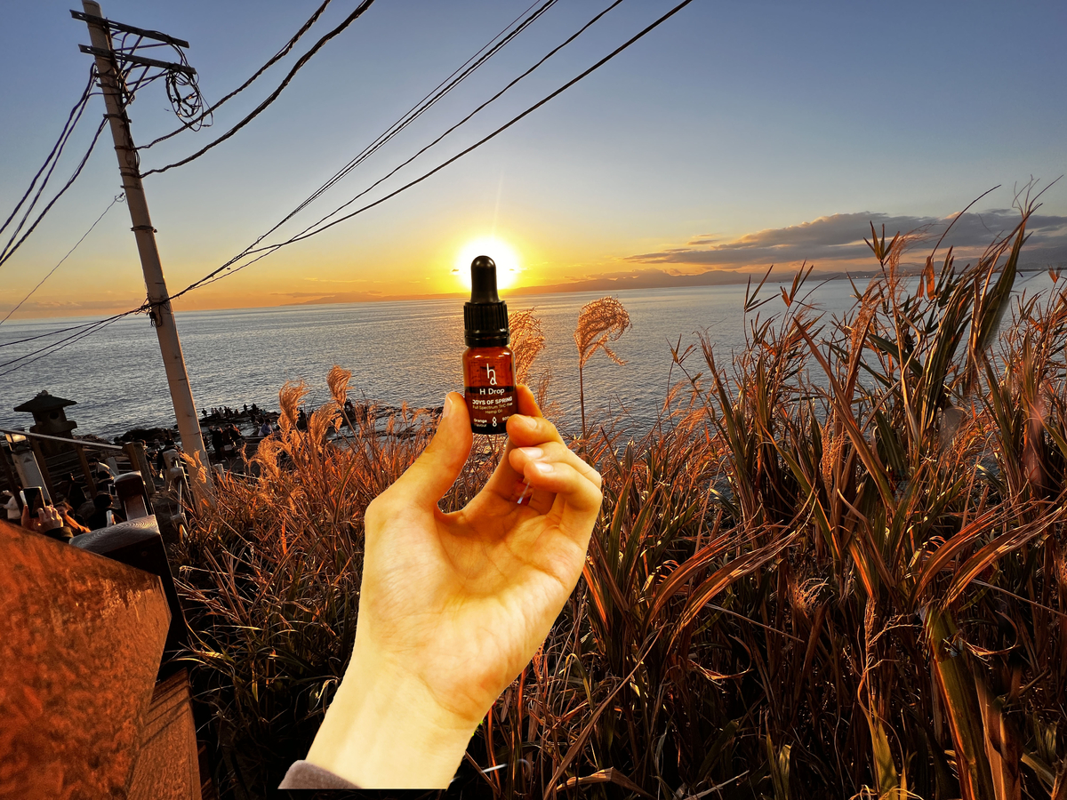 【H Drop Japan】今話題のCBDオイルの[年始セール]開始！