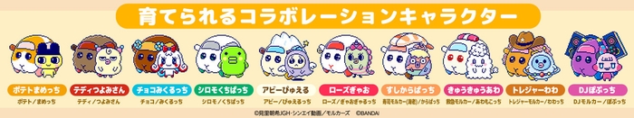 たまスマカード PUI PUI モルカーフレンズ　育てられるコラボレーションキャラクター