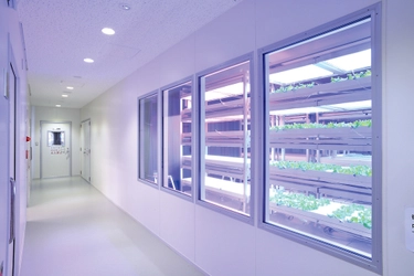 明治大学植物工場基盤技術研究センター 「植物工場でやさいを育ててみよう～体験型学習講座～」