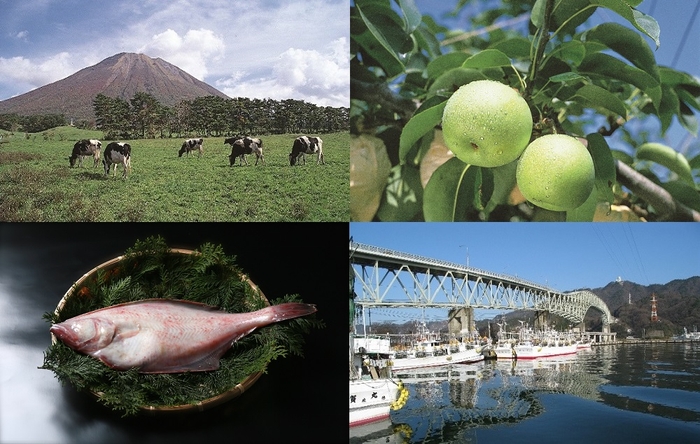 写真提供：鳥取県