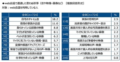 web会議で遭遇した思わぬ珍事（音や映像・画像など）