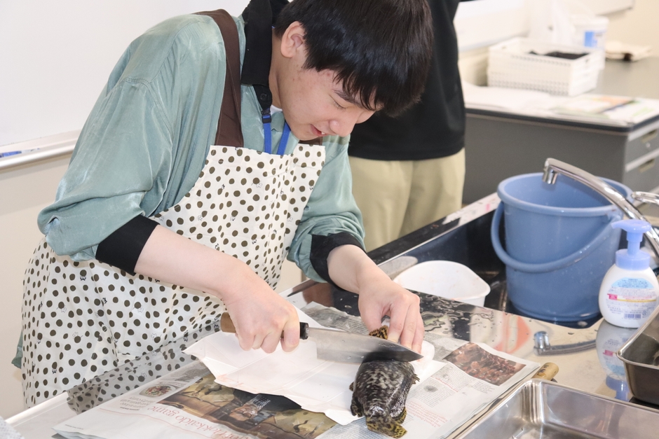 恐る恐るタマカイに包丁を入れる男子生徒