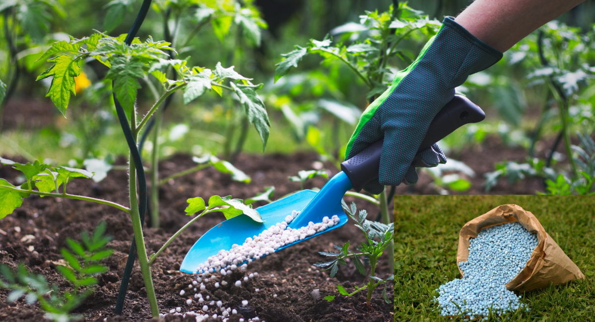 複合肥料の市場規模は2026年までに548億ドルに達する見込み