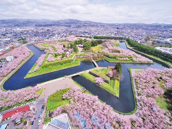 北海道・五稜郭公園の桜