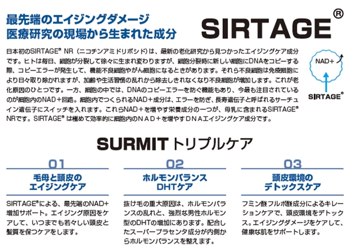 SURMIT4