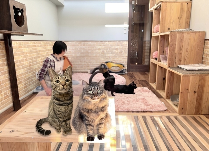 店内の様子