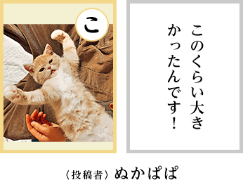 にゃん!最優秀賞