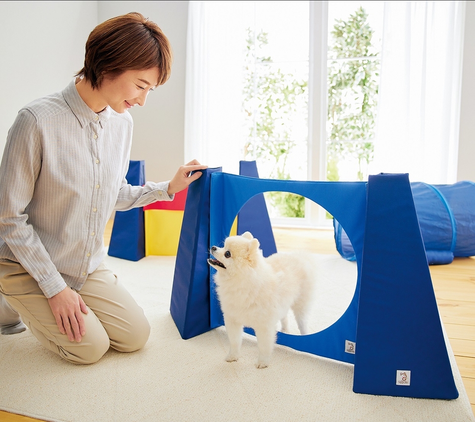 アジリティを通して愛犬と絆を深めよう!