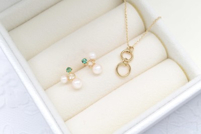 ライトプラン【月額2,780円(税込)】