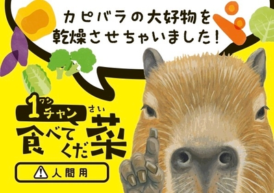 カピバラの大好物を乾燥させちゃいました！