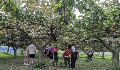 交換留学生が日本文化に触れる　食文化や忍者などの歴史文化を体験し日本への理解を深める