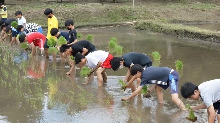 【お米のまきの】稲作体験福袋　イメージ