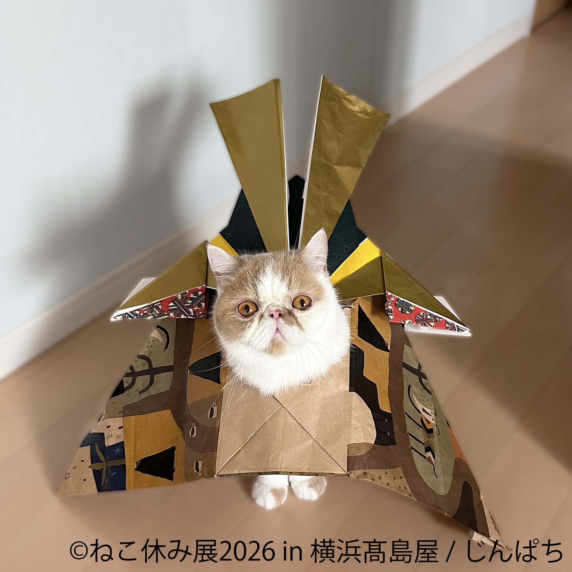 猫と犬のかわいさに癒やされる6日間！横浜高島屋で 「ねこ休み展