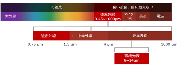 図１：光線の波長