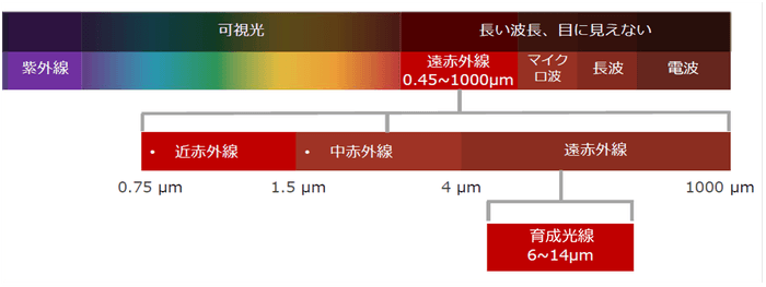 図1:光線の波長