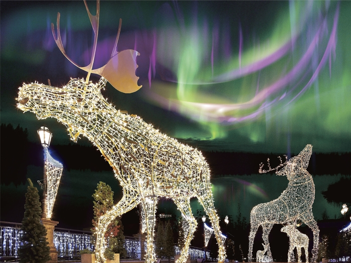 川沿いのオーロラショーとイルミネーショントナカイ　イメージ画像