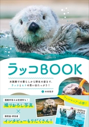 【Amazon“本の人気度ランキング”1位獲得】かわいらしい姿から野生の生態まで今のラッコのすべてががわかる『ラッコBOOK』7月発売