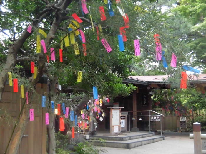 過去開催の様子（小石川後楽園）