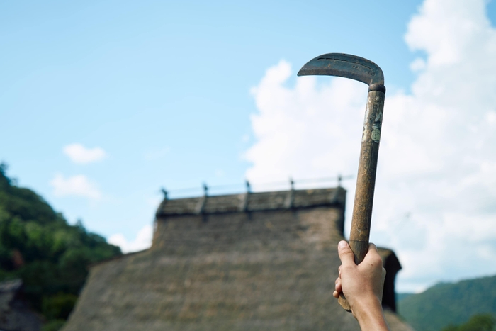 集落の一員として、みんなで“茅刈(かやかり)”体験!