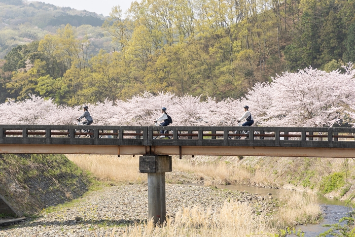 狩野川沿いをサイクリング1