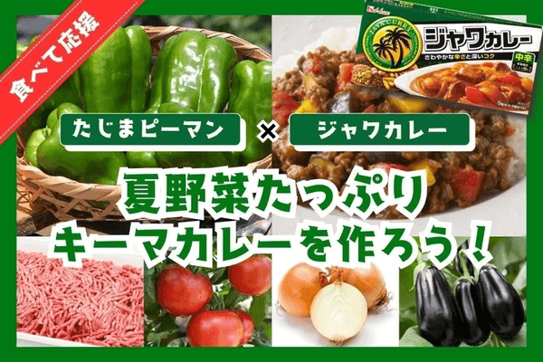 〇【夏の福袋】【食べて応援】夏野菜たっぷりキーマカレーを作って、「たじまピーマン」を応援しよう!(JAたじま)