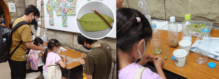 「夏休み親子自然教室」の様子(令和4年撮影)