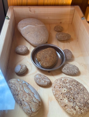 流紋岩の展示箱。中央に水に浸した状態のものを展示