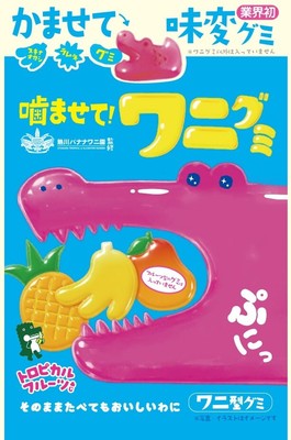 噛ませて!ワニグミ トロピカルフルーツあじ(4)