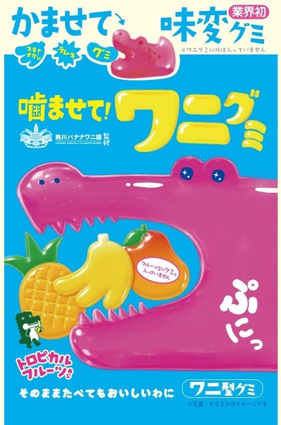 噛ませて!ワニグミ トロピカルフルーツあじ(4)