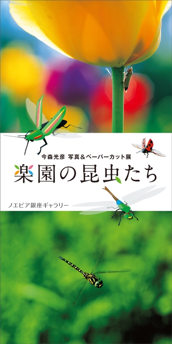 今森光彦　写真＆ペーパーカット展「楽園の昆虫たち」