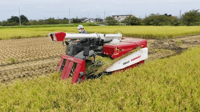 野菜や果物を生産者から直送する産地直送通販サイト「鮮菜」　 2021年秋に新米の取り扱いを開始！