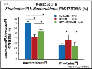 ENZAMINの主要成分“菌体外多糖EPS(レバン)”が 腸内バランスを改善し腸内バリア機能を高め、 メタボを予防することを発表