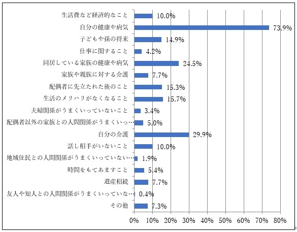 〈消費者調査結果〉 日常生活を送る上で感じる悩みやストレス（団塊世代）