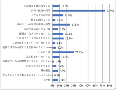 〈消費者調査結果〉 日常生活を送る上で感じる悩みやストレス(団塊世代)