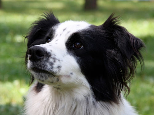 みんなで交流を深めよう!