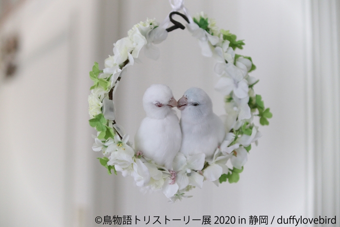 展示作品4
