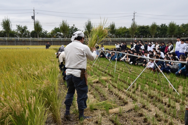 作業の方法や注意点などを説明