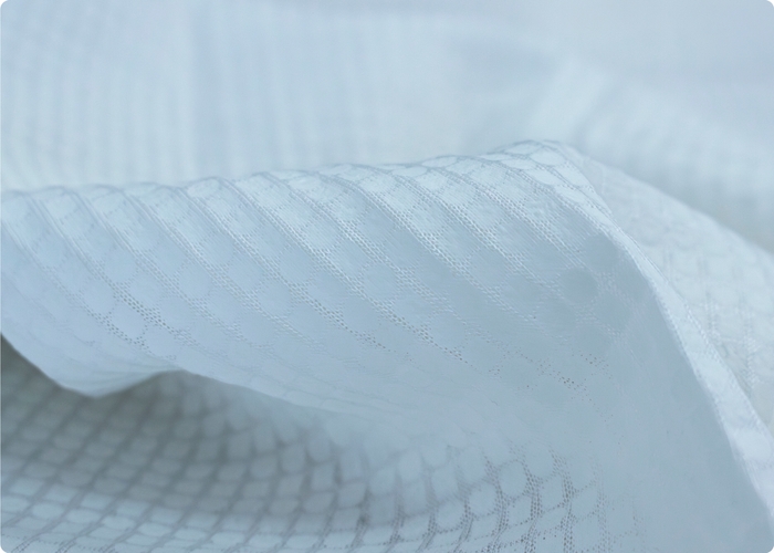 The ICE 27生地アップ