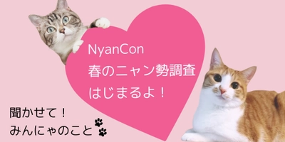 NyanCon春のニャン勢調査はじめます！〜聞かせて！みんにゃのこと〜