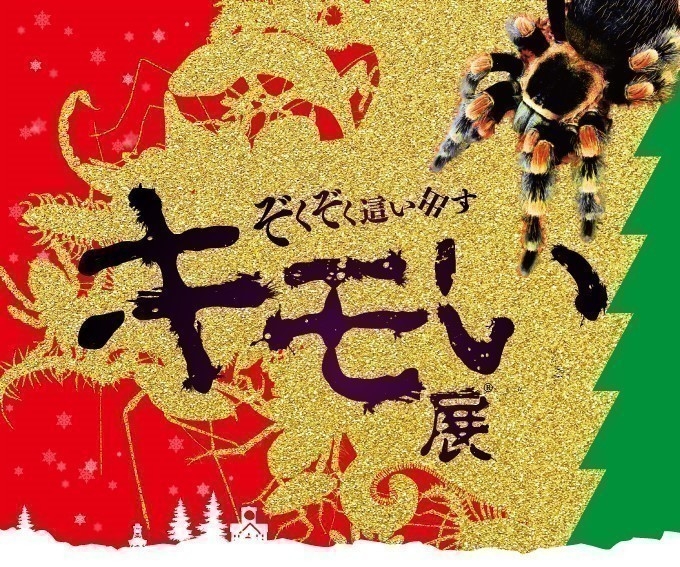 クリスマスイメージデザイン