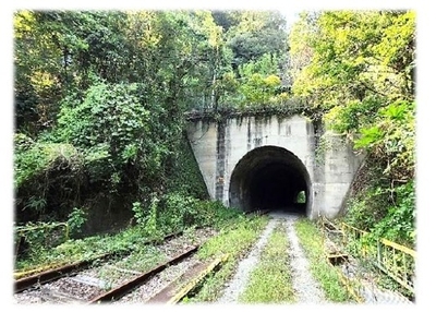 画像１