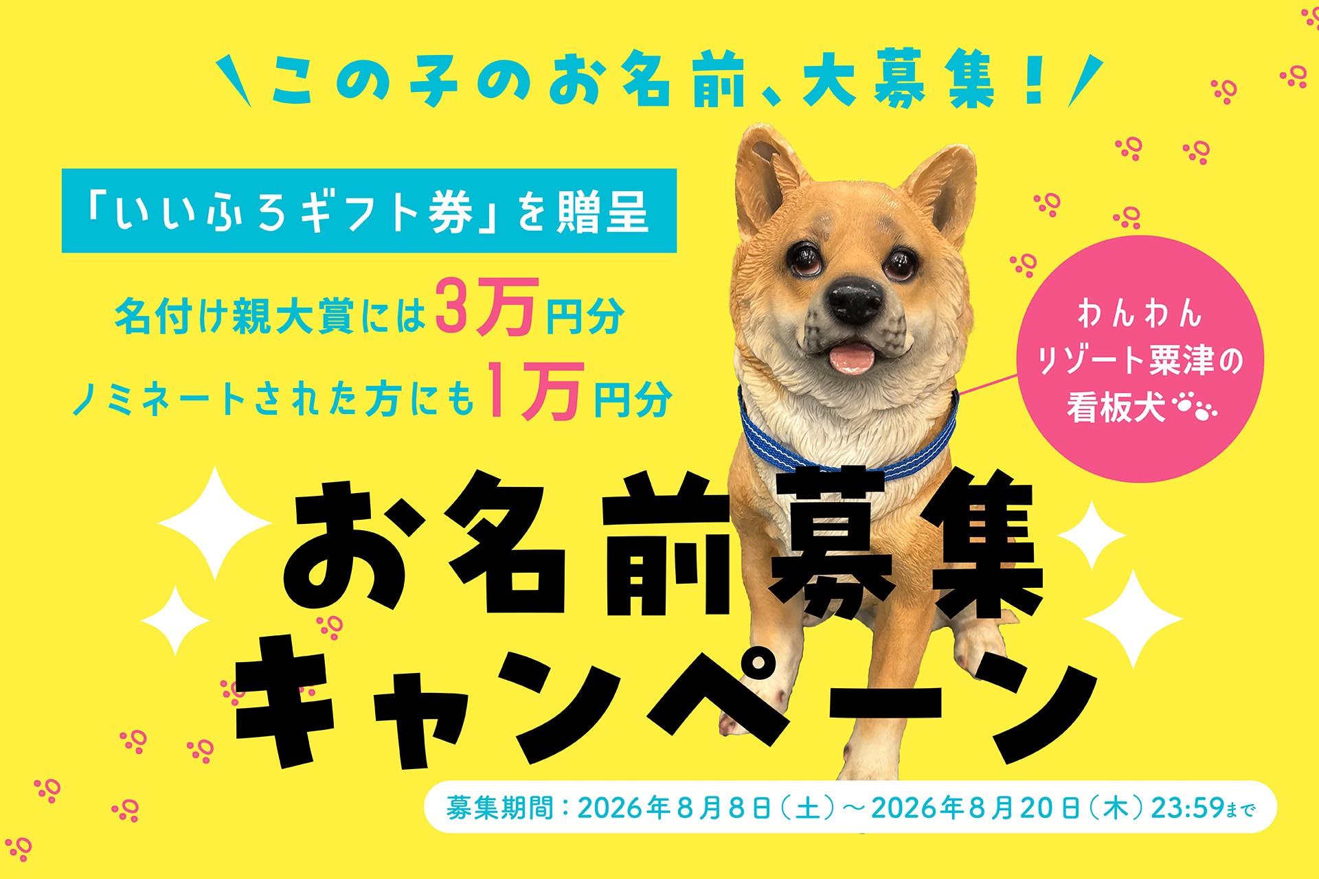 わんわんリゾート 粟津の"看板犬"の名前をみんなで決めよう!
Instagramで「お名前募集キャンペーン」を8月8日(土)より開催