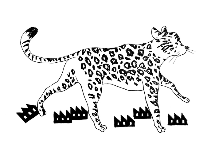 工場にチーター現る