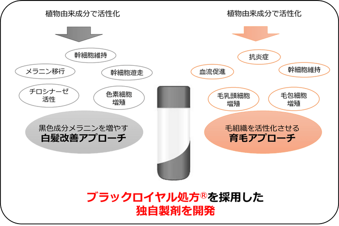 図2：2つのアプローチを合わせた独自製剤を開発