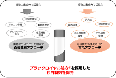 図2:2つのアプローチを合わせた独自製剤を開発
