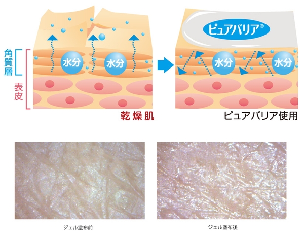 ピュアバリアで保湿＆保護