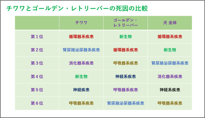 チワワとゴールデン・レトリーバーの死因の比較