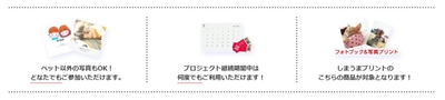 ペット以外の写真もOK!